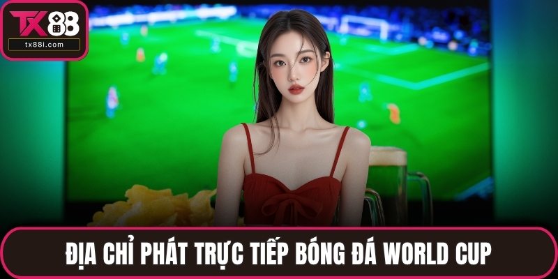 Địa chỉ phát trực tiếp bóng đá World Cup