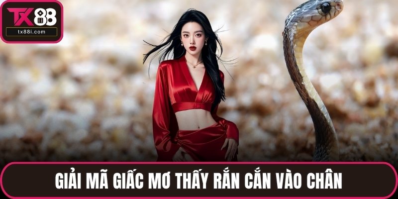 Giải mã giấc mơ thấy rắn cắn vào chân