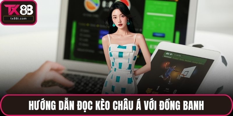 Hướng dẫn đọc kèo châu Á với đồng banh