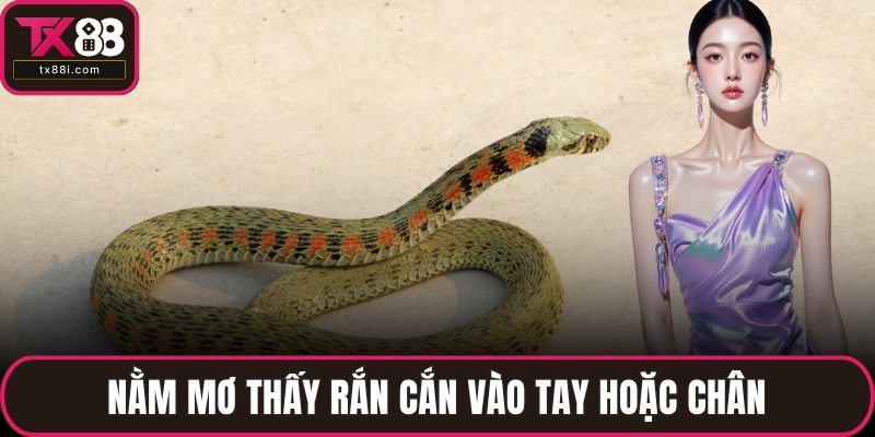 Nằm mơ thấy rắn cắn vào tay hoặc chân