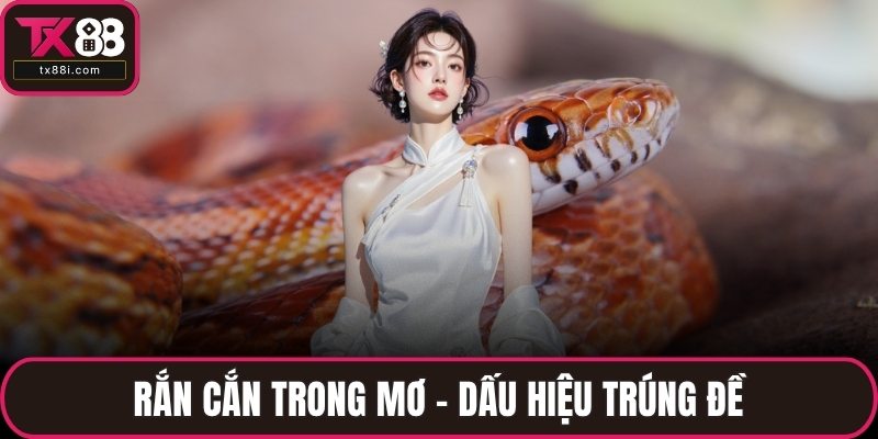 Nằm mơ thấy rắn cắn