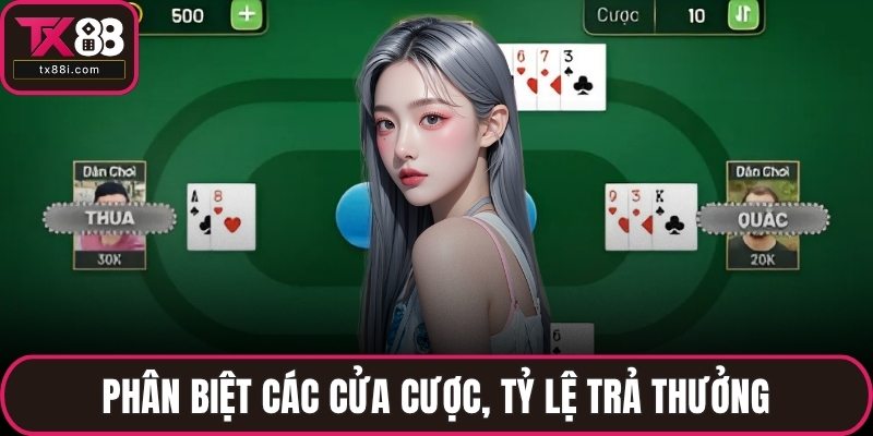 Phân biệt các cửa cược, tỷ lệ trả thưởng