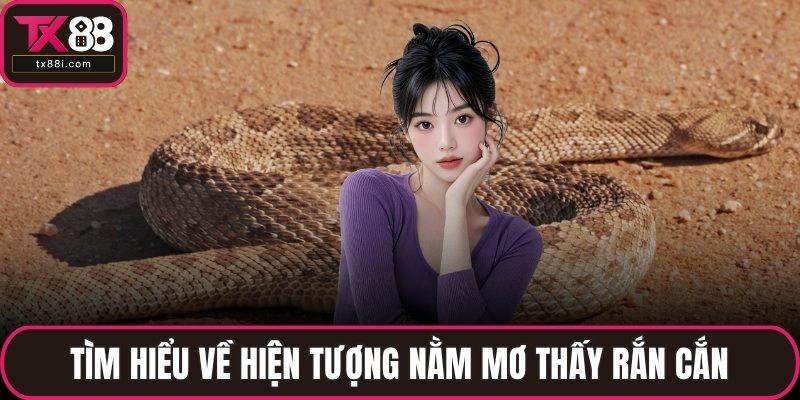 Tìm hiểu về hiện tượng nằm mơ thấy rắn cắn